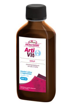 VITAR ArtiVit Sirup 200ml