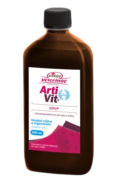 VITAR ArtiVit Sirup 500ml