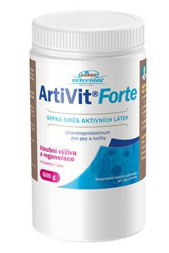 VITAR ArtiVit Forte prášek 600g