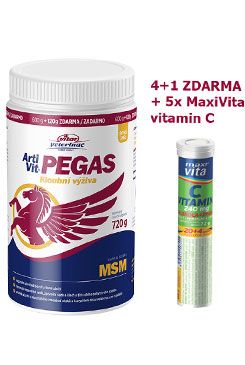 VITAR ArtiVit Pegas MSM 720g